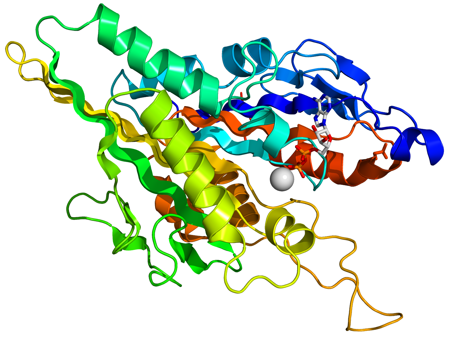 Coarse-Grained Simulation of a Protein