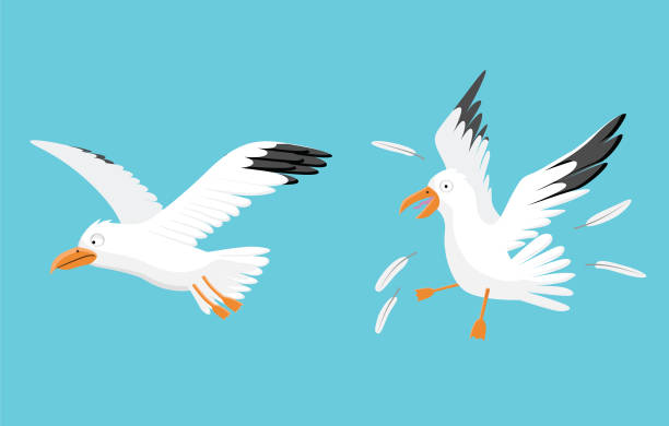 Simulation of Flocks